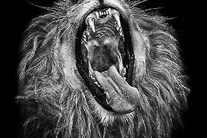 B_Lamboeuf_Bestiaire7