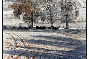 Ambiance Hivernale