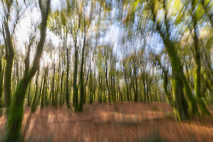 Automne