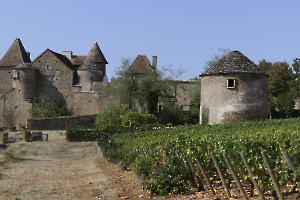 CHATEAU DE PONTUS DE TYARD