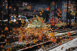 Couleurs d'automne