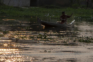 crépuscule