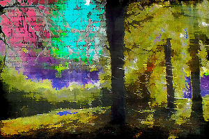 Forêt d'écritures