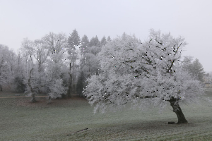 GIVRE