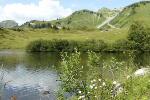 JOUX PLANE
