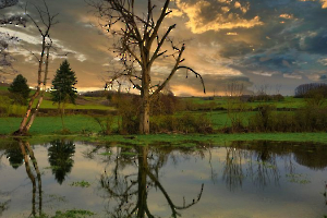 La mort en reflets