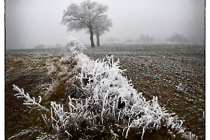 Matin givré