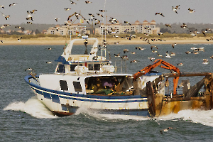 Retour de pêche