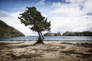 seul sur le sable