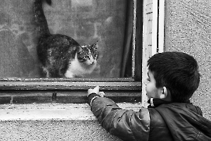 Coup de foudre
