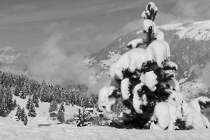 COURCHEVEL