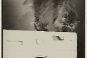 Le Chat machine