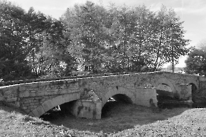 2023 Regional IP monochrome