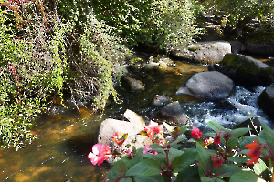 Pont Aven