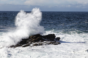 côte sauvage