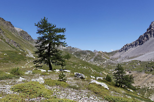 Vallée étroite