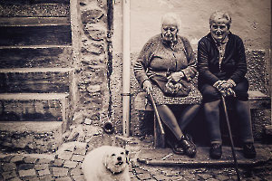 Le compagnon