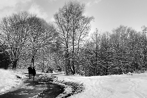 Promenade hivernale