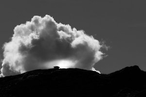 Silhouette