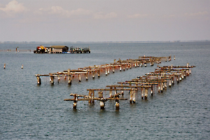 03-alignement_49153201017_o