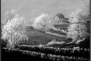 givre-bouvier-a4_49154091142_o