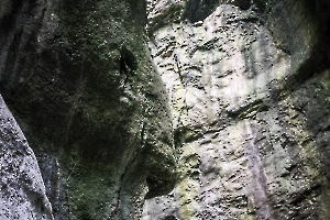 p1180099-1_49153300648_o