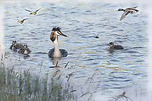 2---m-beaufils---variation-photographique-e_51992219709_o