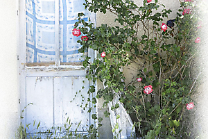 a-la-campagne_51991946491_o