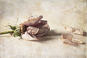 n3-r_53058555376_o