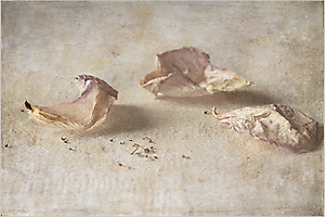 n4-r_53058738734_o