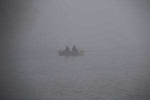 1w5a5868-1-dans-la-brume_53067563654_o