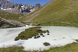 2-le-lait-des-agneaux_53067586094_o