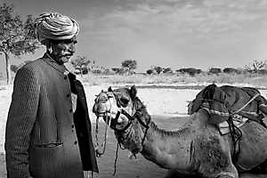 dans-le-dsert_53067617629_o