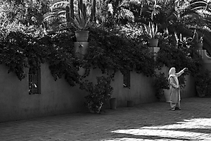 dscf2325_53067379576_o