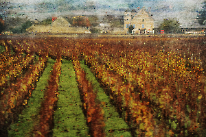 2 M. Beaufils - Sur la route des vignes   