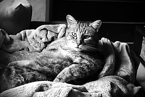 DSC03668-Benjamin 