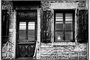 Jacques Fouel