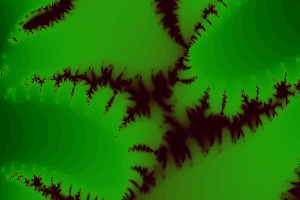 Leaves YD