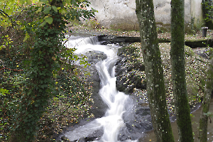 - ruisselet