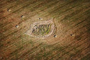 Oeil Végétal