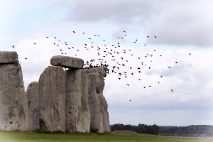 stoneheige