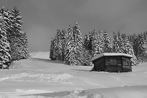 Image 045 copie