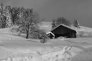 Image 046 copie