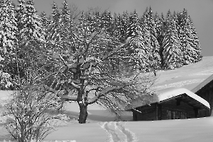 Image 047 copie