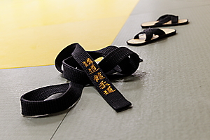 judo