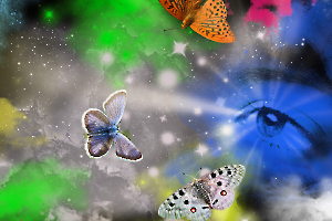 3 Papillons