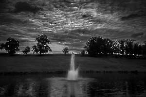 _MG_0894