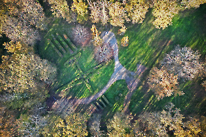 06- Atterrissage en pleine forêt