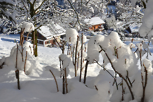 2-DSC_0865 B Neige à Combloux 2015