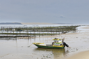 3-DSC_3857 D  Bassin d'Arcachon 2024 copie